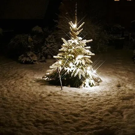 Renate's * Гросшёнау